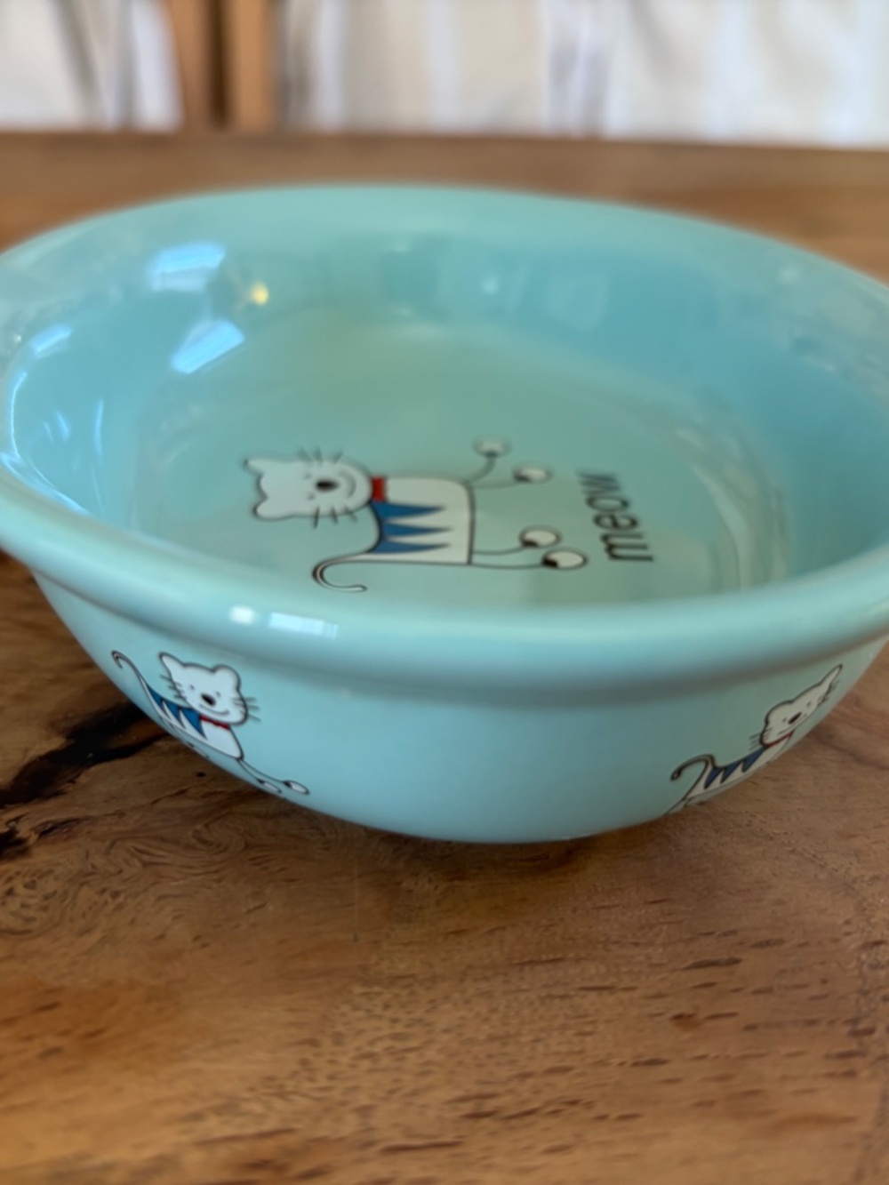🐱 Whisker City “Meow” Cat Dish Bowl | Aqua Blue Ceramic Pet Bowl 🩵💚